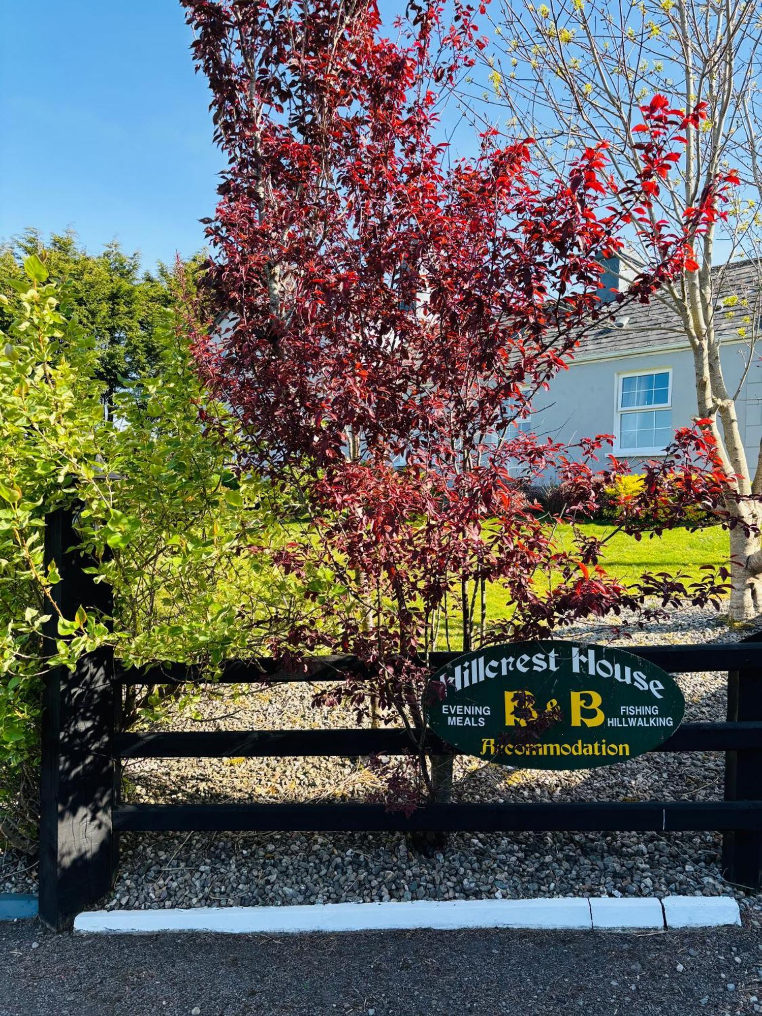 Hillcrest Farmhouse Bed & Breakfast Boyhollagh Exterior photo